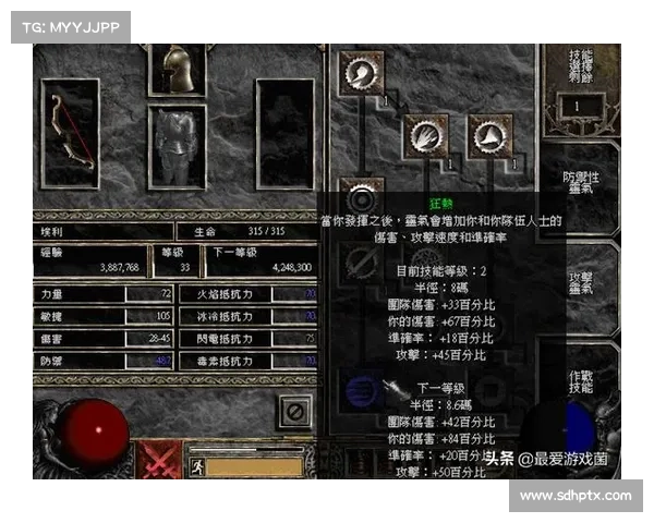 暗黑圣骑士：符文装备之道