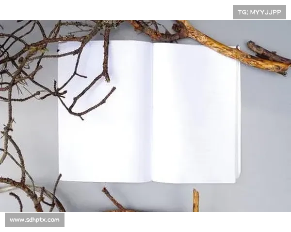 纸上奇遇:书页合书大攻略 纸上奇遇:书页合书大攻略