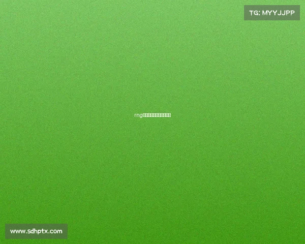 rng电子竞技俱乐部总部在哪